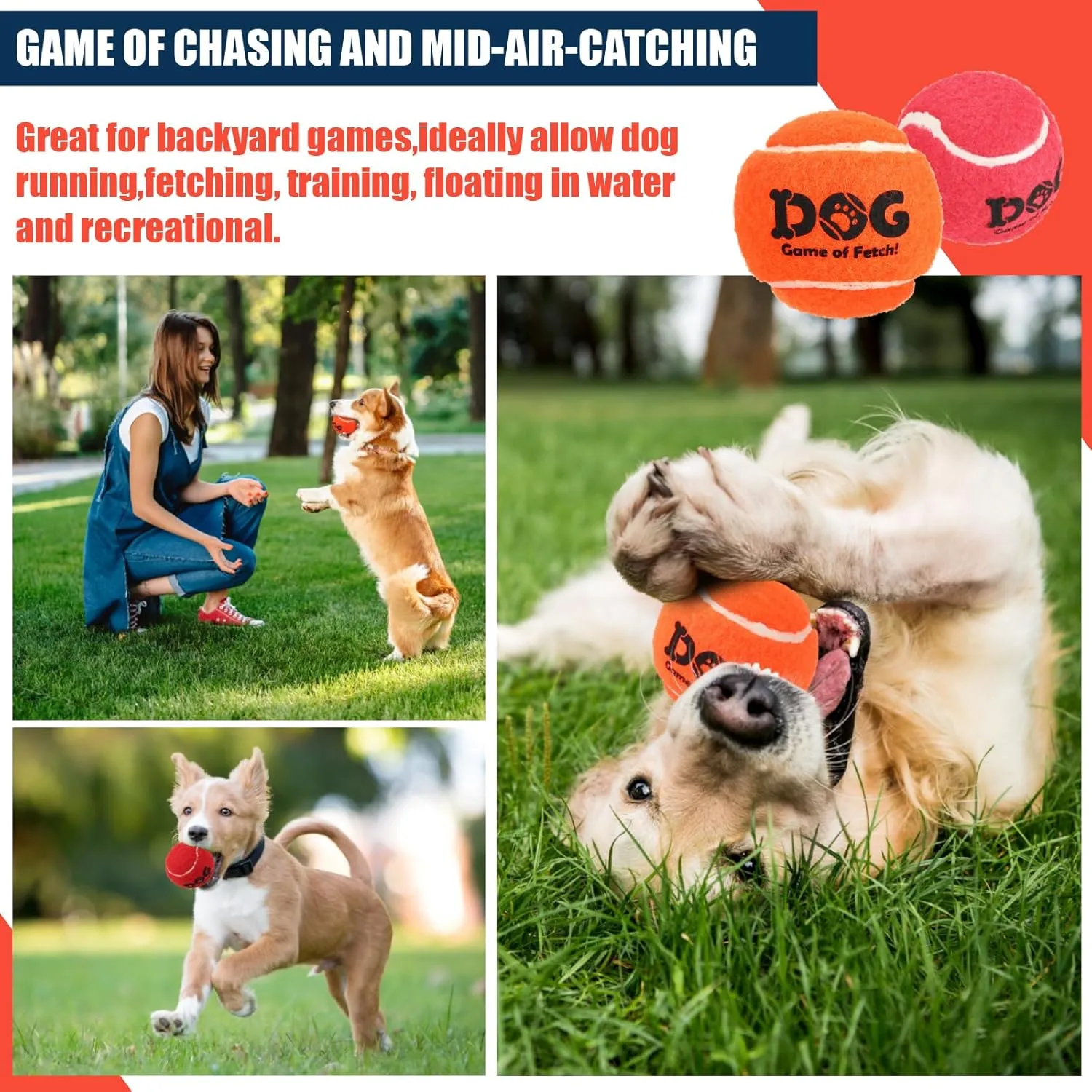 AMA SPORT Tennis Balls for Dogs 12 Pack 2.5" Orange Dog Tennis Balls for Puppy Small Medium Dog Toys, Designed for Dogs Floating, Water-Hunting, Fetch, Fun Playing, Daily Exercise, Mid-air Catching