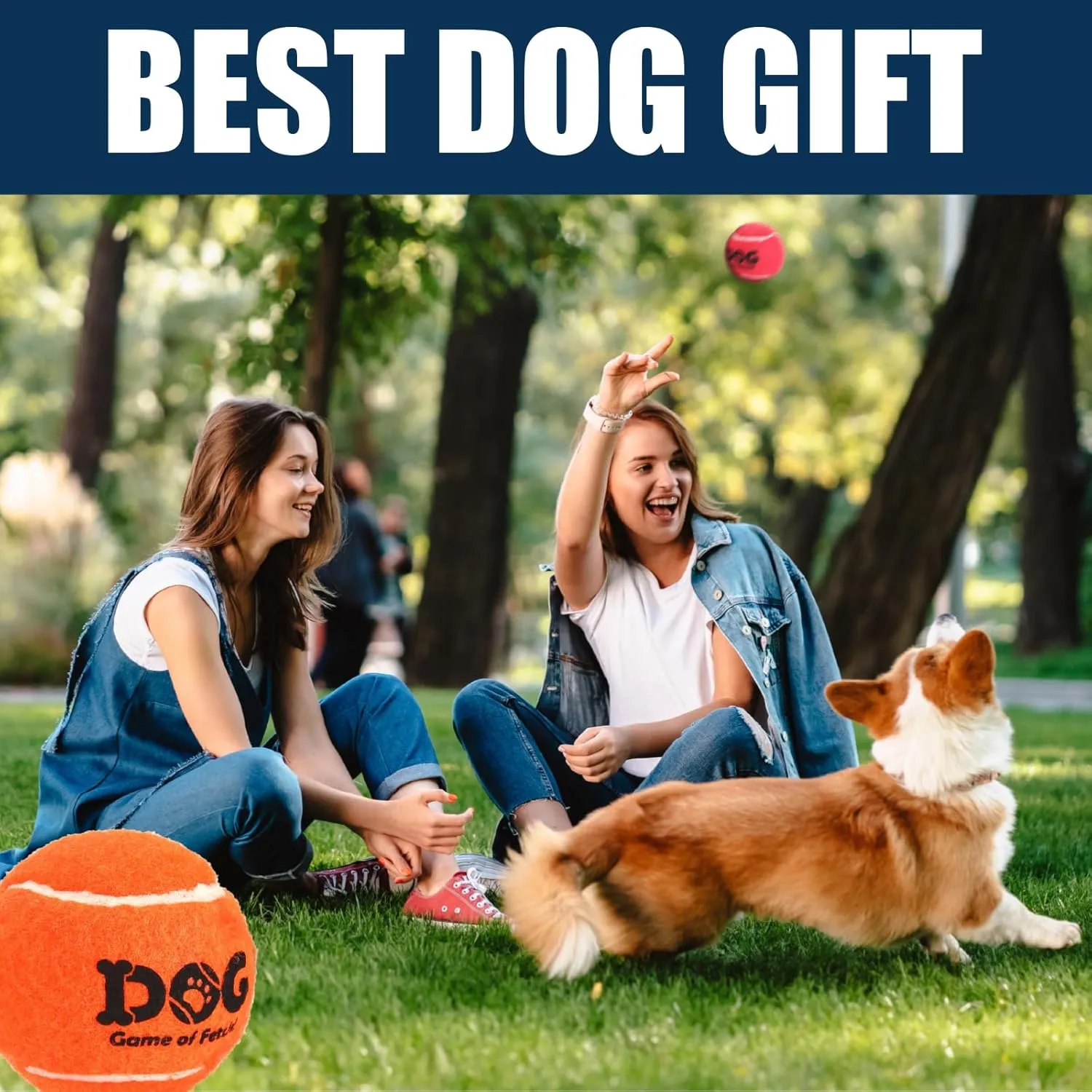 AMA SPORT Tennis Balls for Dogs 12 Pack 2.5" Orange Dog Tennis Balls for Puppy Small Medium Dog Toys, Designed for Dogs Floating, Water-Hunting, Fetch, Fun Playing, Daily Exercise, Mid-air Catching