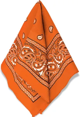 Amscan womens Paisley Bandana