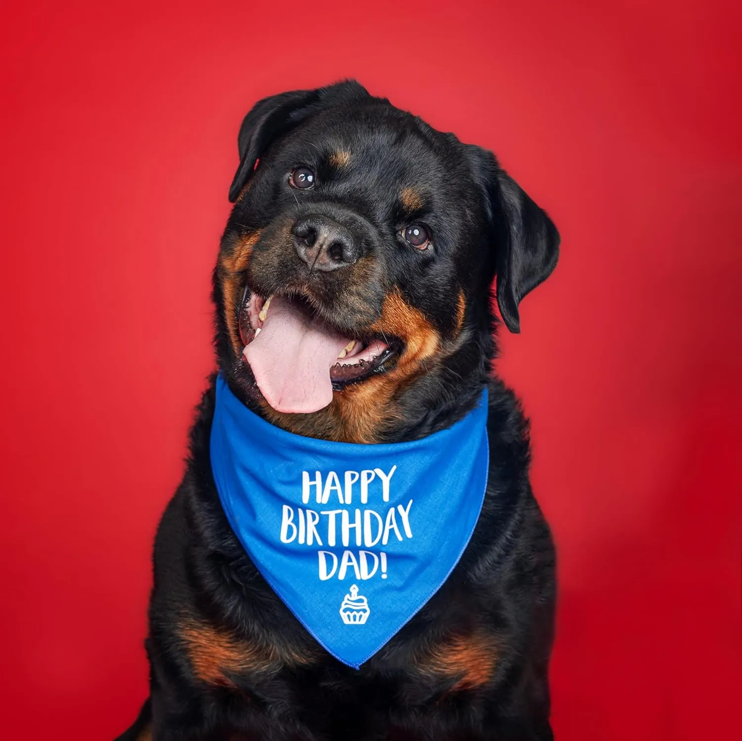 Happy Birthday Dad! Dog Bandana | 100% Cotton Adjustable Triangle | Made in USA | Birthday Party Supplies | Outfit Prop Photoshoot |Purple, X-Small (171)